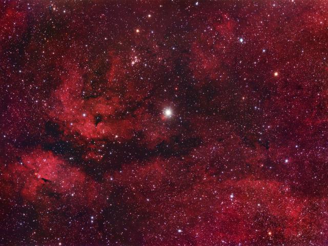 Central Cygnus
