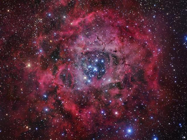 The Rosette Nebula