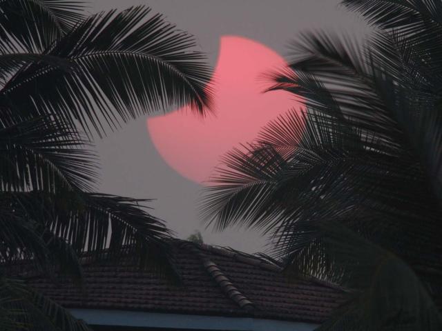 Goa Silhouettes