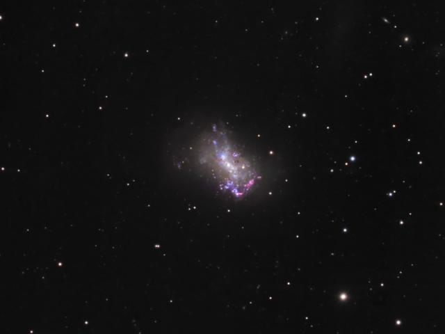 Small Galaxy NGC 4449