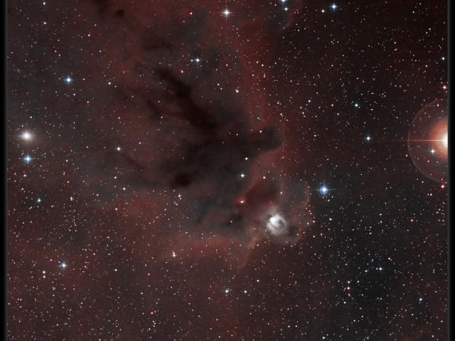 LDN 1622: Dark Nebula in Orion