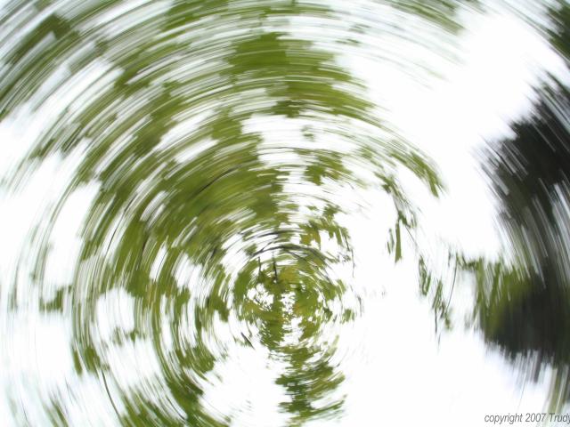 Circum-axial Leaf Trails
