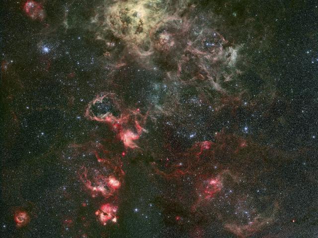 Tentacles of the Tarantula Nebula