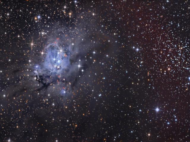 NGC 7129 and NGC 7142