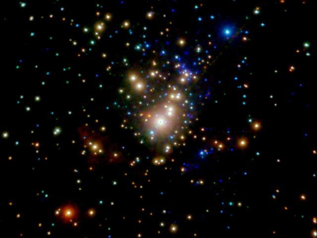X-Ray Stars of Orion