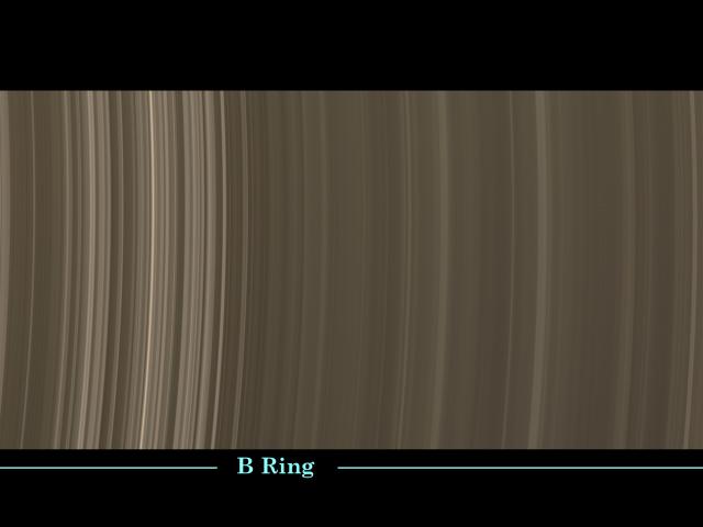 Ring Scan
