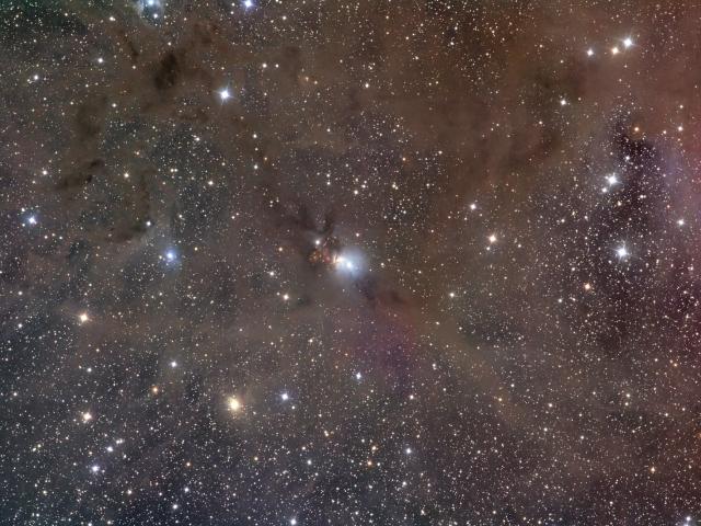 Stardust in Perseus