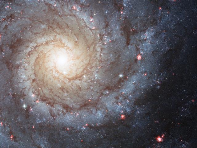 M74: The Perfect Spiral