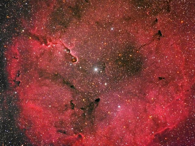 Emission Nebula IC 1396