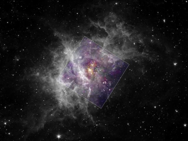 Young Star Cluster Westerlund 2
