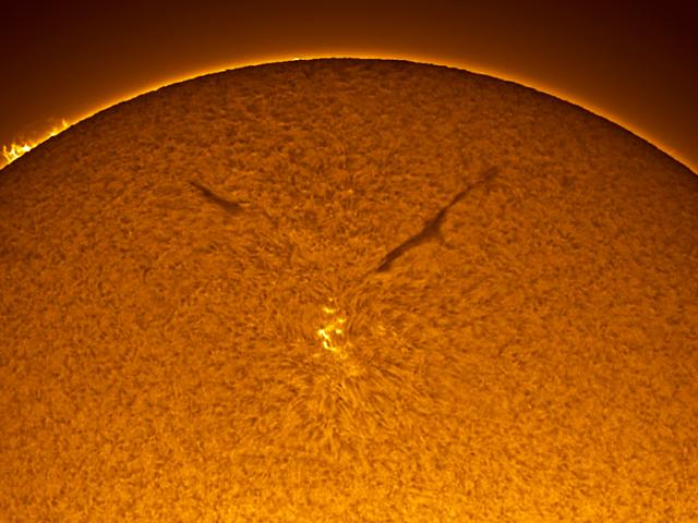 Sunspot in the Old Solar Cycle
