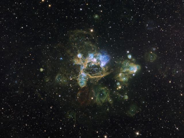 The N44 Complex