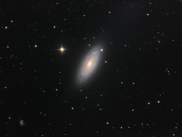 Spiral Galaxy NGC 2841
