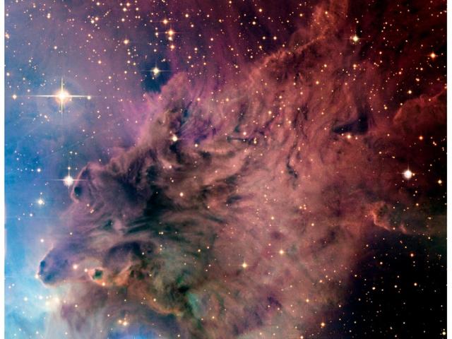 The Fox Fur Nebula from CFHT