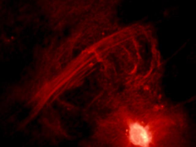 The Galactic Center Radio Arc