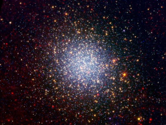 The Giants of Omega Centauri