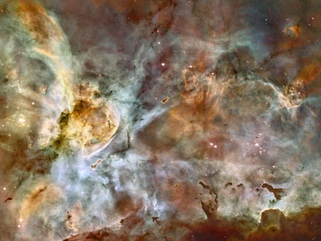 Dark Clouds of the Carina Nebula
