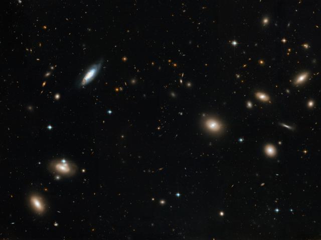 Inside the Coma Cluster of Galaxies