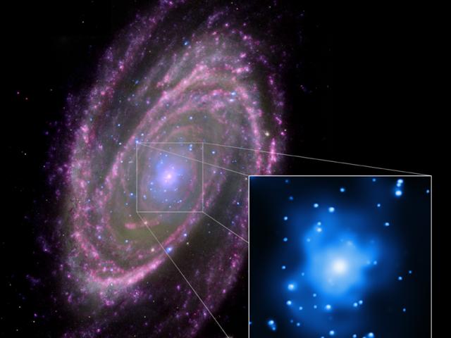 M81: Feeding a Black Hole