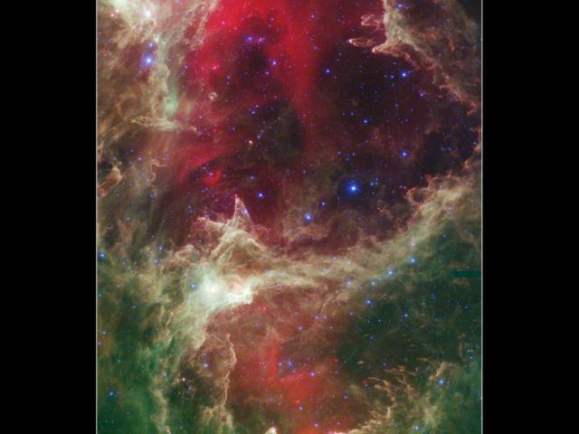 W5: Pillars of Star Creation