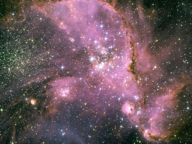 Young Stars of NGC 346