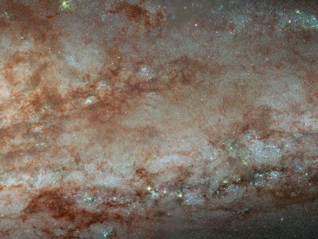 NGC 253 Close Up