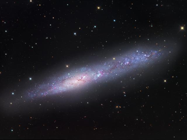 Irregular Galaxy NGC 55