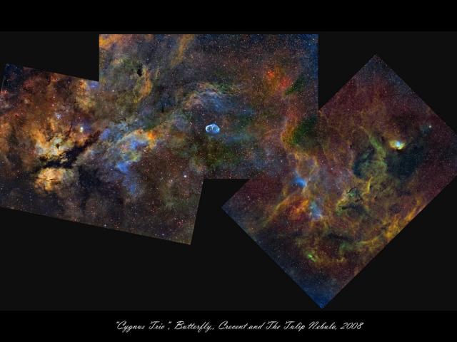 Cygnus Trio