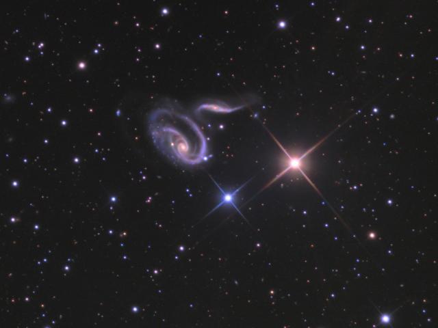Arp 273