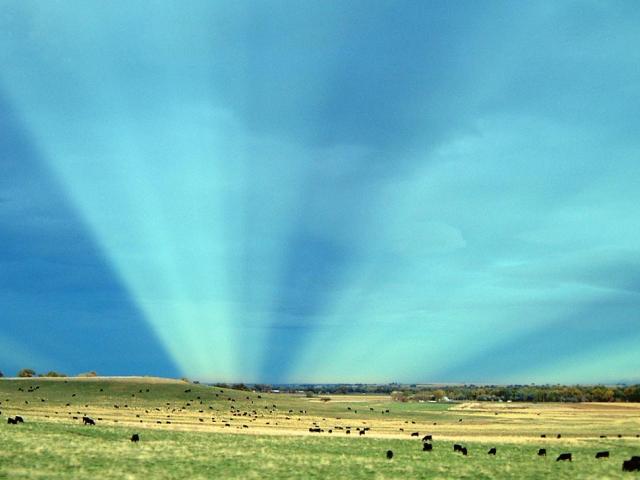 Anticrepuscular Rays Over Colorado