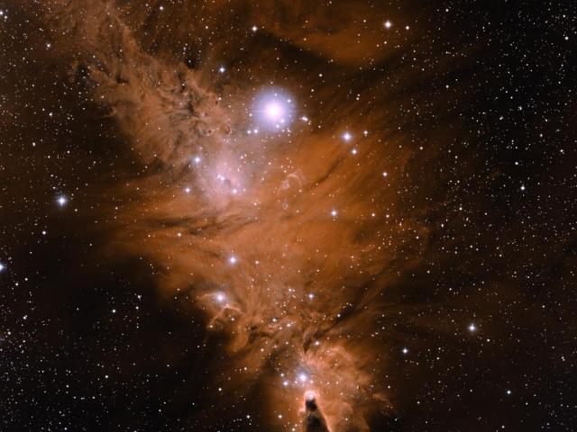In the Vicinity of the Cone Nebula