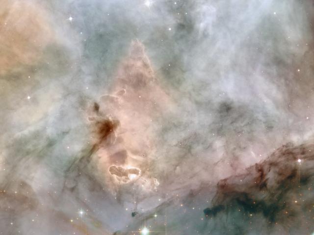 Massive Stars Resolved in the Carina Nebula