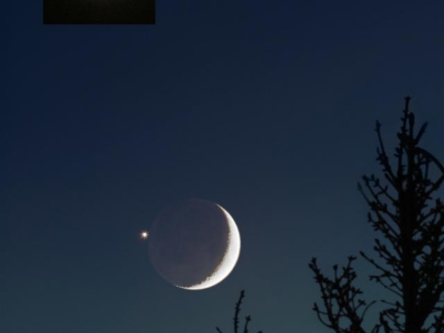 Venus in the Moon