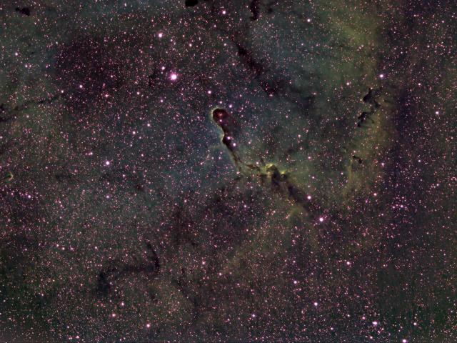 The Elephant’s Trunk in IC 1396