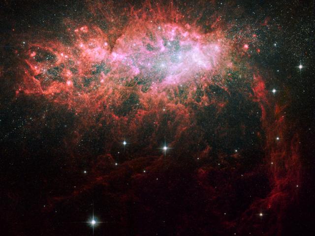 NGC 1569: Starburst in a Dwarf Irregular Galaxy
