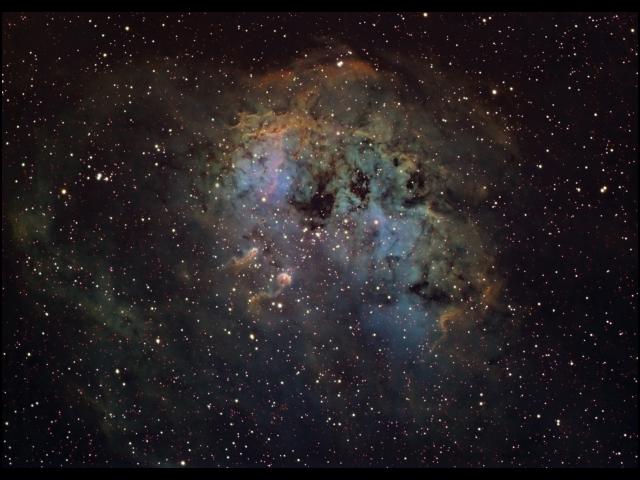 IC 410 and NGC 1893