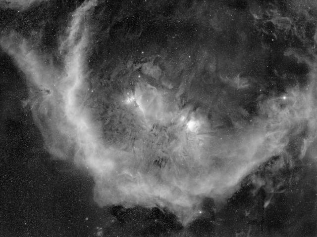 Barnard’s Loop around the Horsehead Nebula
