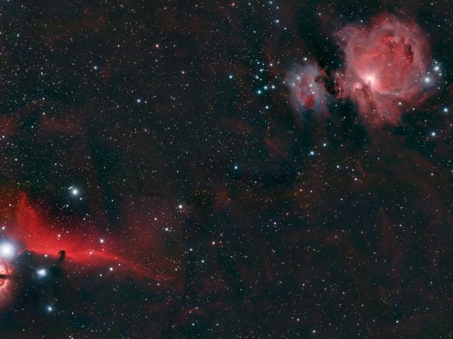 Horsehead and Orion Nebulae