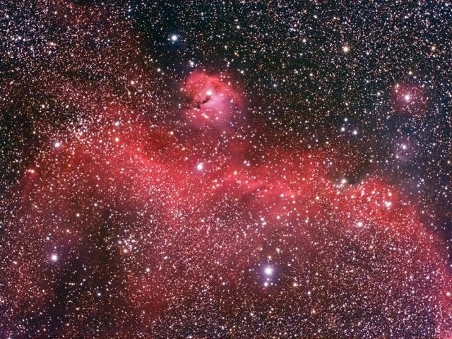 The Seagull Nebula