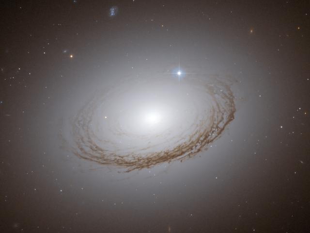Unusual Dusty Galaxy NGC 7049