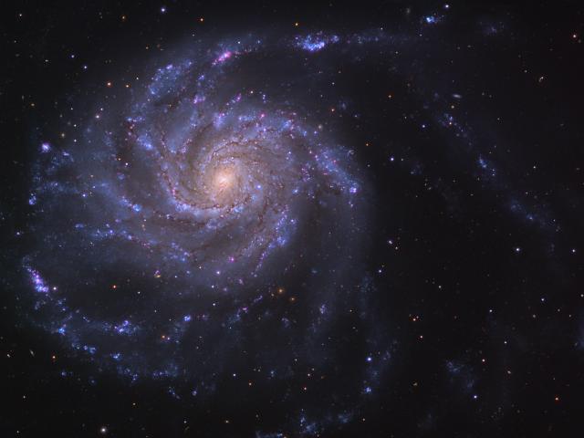 M101: The Pinwheel Galaxy