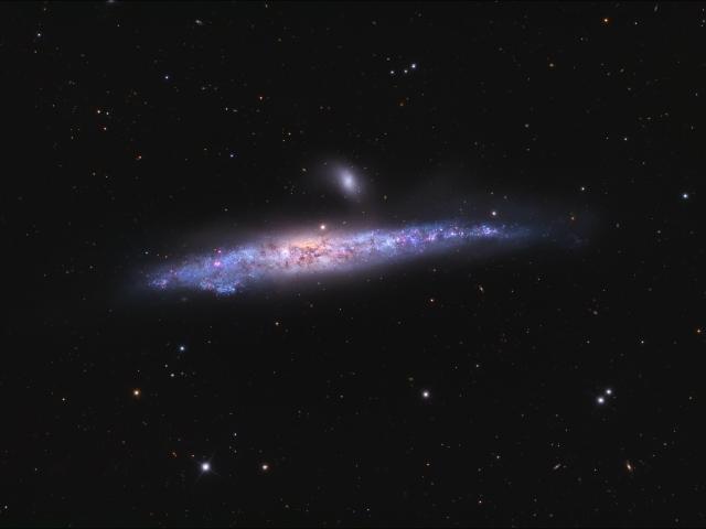 The Whale Galaxy
