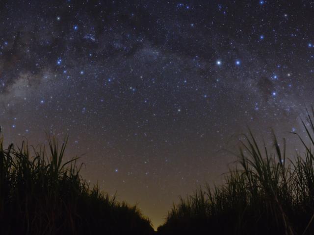 A Starry Night in Brazil