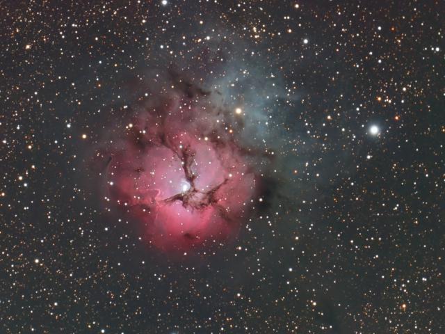A Beautiful Trifid