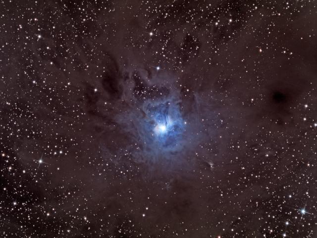 A Dusty Iris Nebula