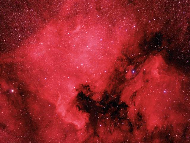 The North America and Pelican Nebulae