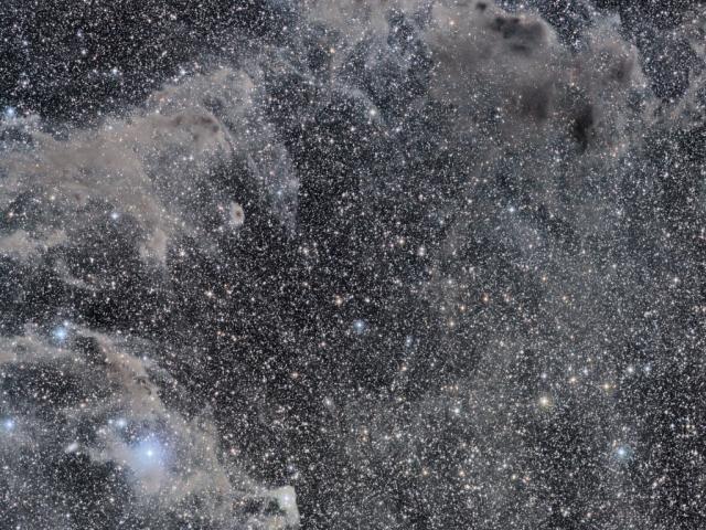 The Chameleon’s Dark Nebulae