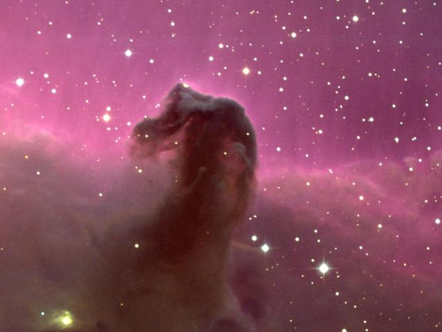 The Horsehead Nebula