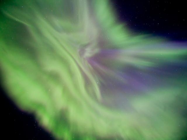 A Floral Aurora Corona