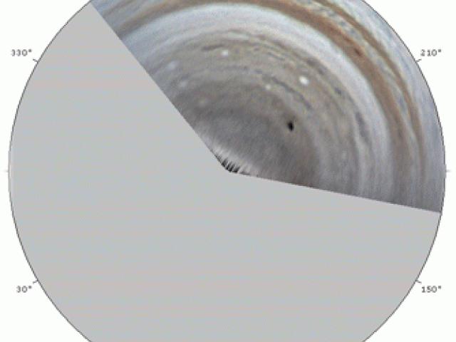 Unexpected Impact on Jupiter